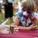 Leslie Science and Nature Center employee David Clipner showcases a rose tarantula to Milan resident Kate Gelsanliter, 7, during the Townie Street Party on Monday, July 15. Daniel Brenner I AnnArbor.com